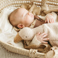 Load image into Gallery viewer, Sleeping Goose Comforter
