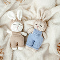 Load image into Gallery viewer, Handmade Crochet Bunny Rattle